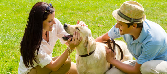 Dog Owners Guide to Summer Fun in Rockwall, TX