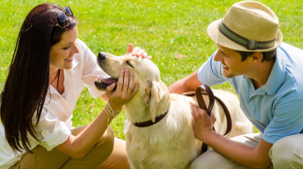 How to Celebrate National Dog Day near Rockwall, TX?